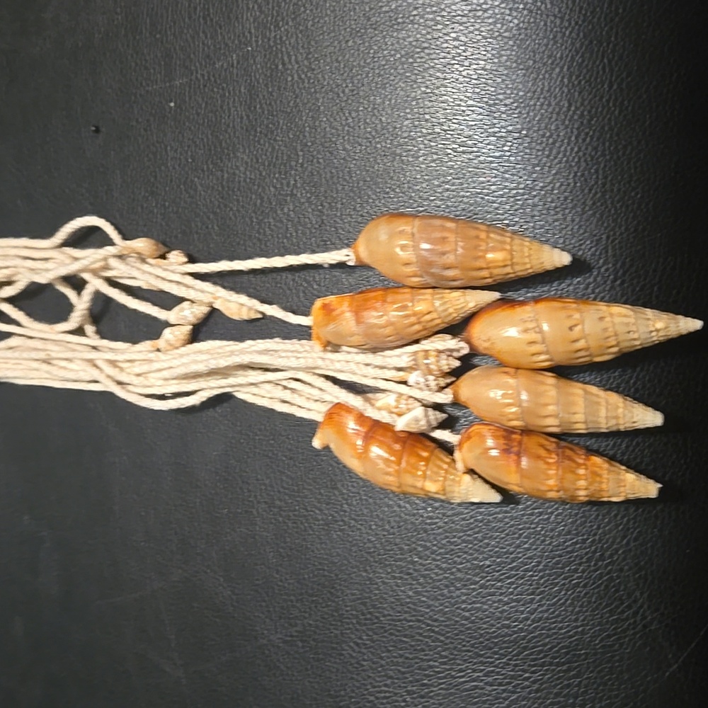Beige Shell Belt - Picture 2 of 4
